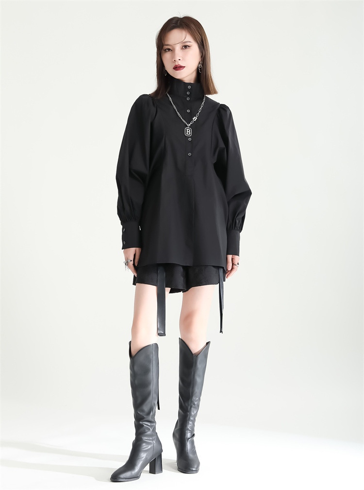 Volume Sleeve High Neck Blouse