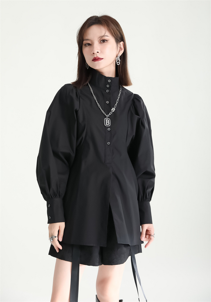 Volume Sleeve High Neck Blouse