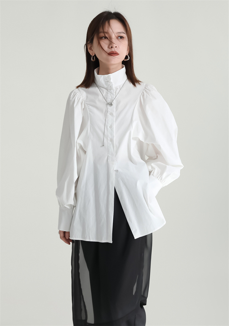 Volume Sleeve High Neck Blouse