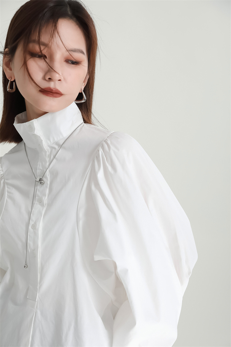 Volume Sleeve High Neck Blouse