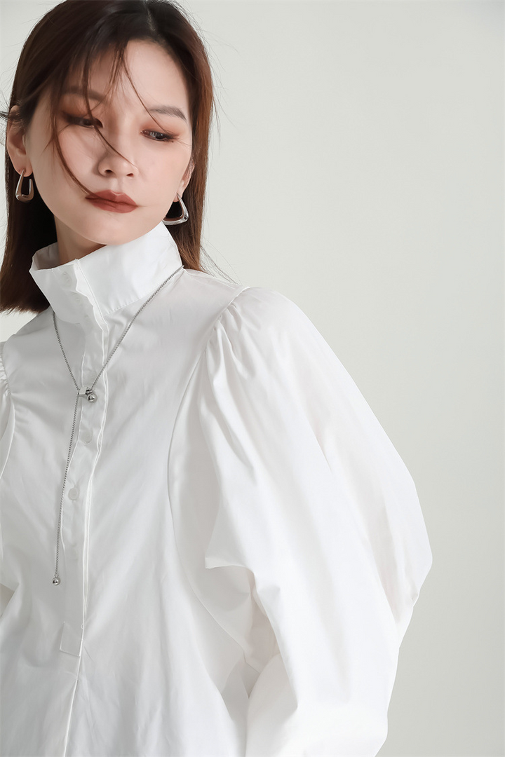 Volume Sleeve High Neck Blouse