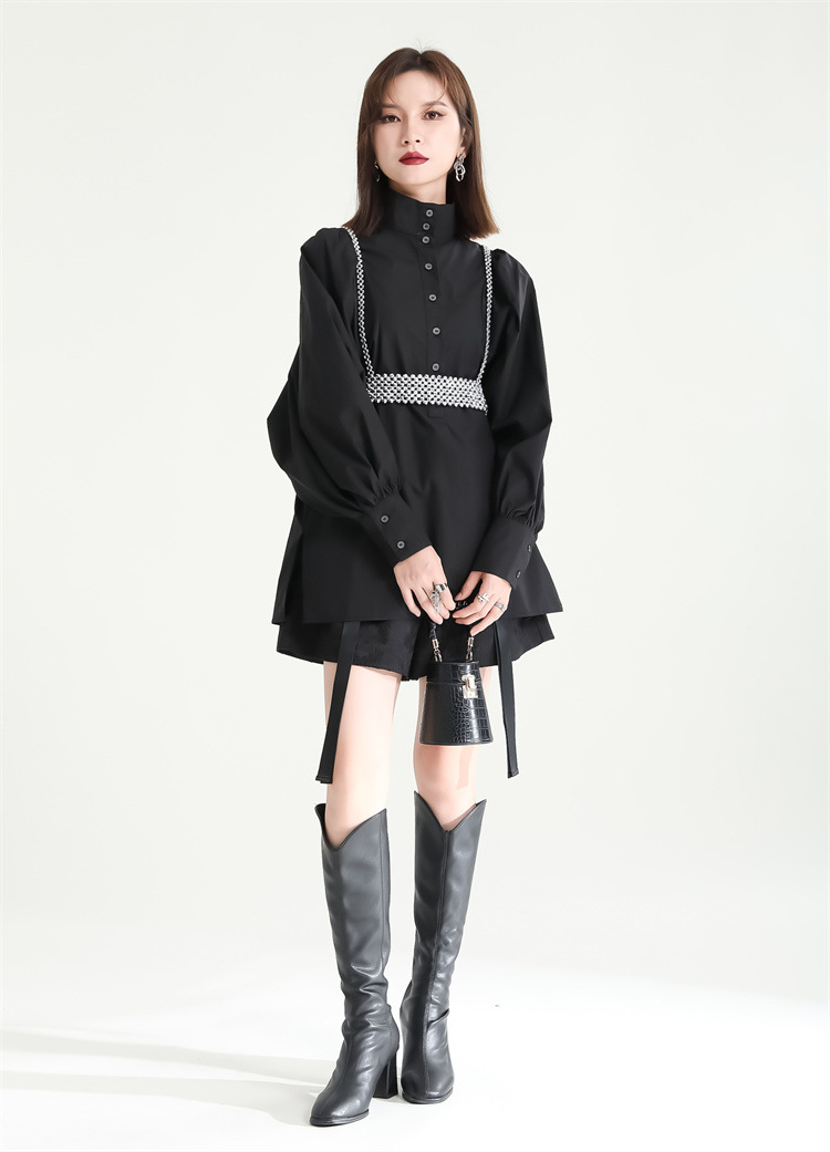 Volume Sleeve High Neck Blouse