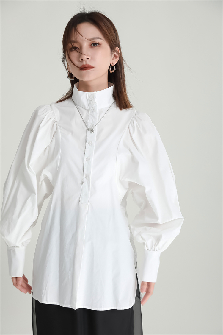 Volume Sleeve High Neck Blouse