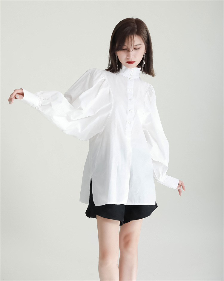 Volume Sleeve High Neck Blouse