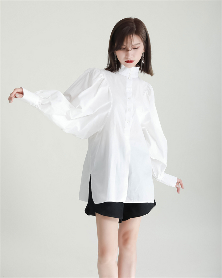 Volume Sleeve High Neck Blouse