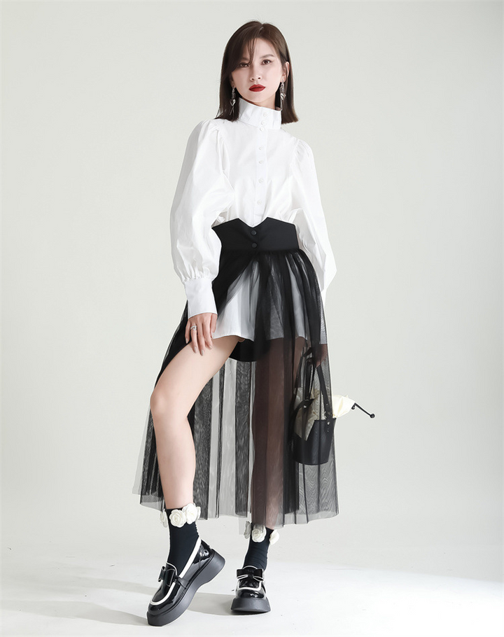 Volume Sleeve High Neck Blouse