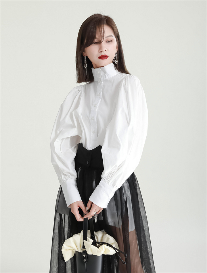 Volume Sleeve High Neck Blouse