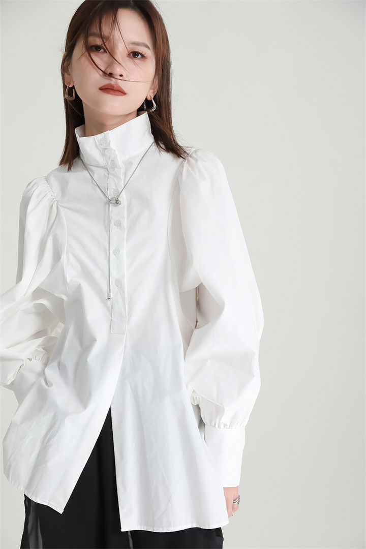 Volume Sleeve High Neck Blouse