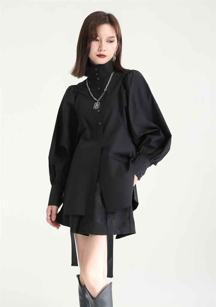 Volume Sleeve High Neck Blouse