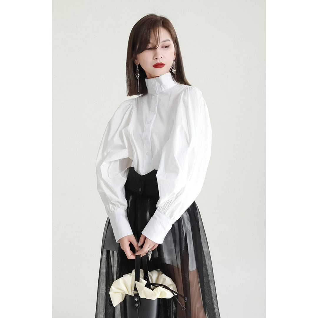 Volume Sleeve High Neck Blouse